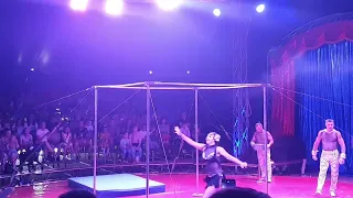 гимнасты в цирке Сириус