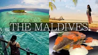 What THE MALDIVES is REALLY Like! Explaining Paradise 😍