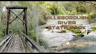 Hiking Adventure at Hillsborough River State Park