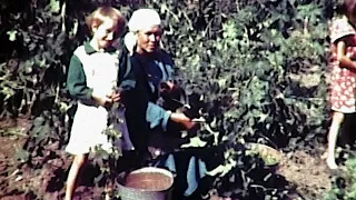 Жизнь в чувашской деревне. Видеосъемка 80-х годов.