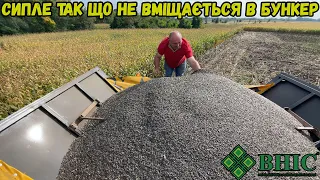 Жнива 2023🌻Врожайність із 1 Га Соняшника ВНІС Магнум🌻 КОМБАЙН КЕЙС 2388 🚜340мм опадів за 5 місяців