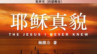 耶稣真貌  The Jesus I Never Knew | 杨腓力 著 | 有声书 |
