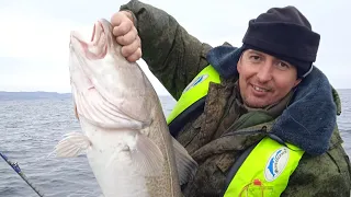 ТЕРИБЕРКА. УДАЧНОЕ ЗАКРЫТИЕ СЕЗОНА МОРСКОЙ РЫБАЛКИ. "CLOSING OF THE SEA FISHING SEASON."