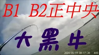 2024.05.19【B1B2正中央淺灘  出現大黑牛】淺灘前打/淺打/黑鯛/目印/八卦輪/礁石/沙底/沙溝/鵝卵石/直感漂釣法－老洋 Fishing