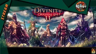 Divinity: Original Sin 2 - Стрим - Кооп на заказ! #2