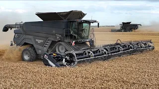 Gros chantier de moisson : FENDT Ideal 10T coupe MacDon & Ideal 9 dans la même parcelle