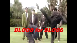 SZTUKI WALKI FILMY - KREW ZA KREW (BLOOD for BLOOD) Korean Martial Arts Movie, Lektor.