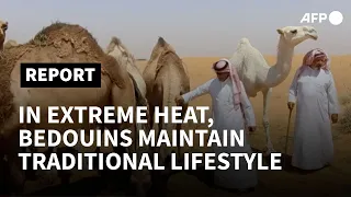 Saudi Bedouins maintain traditional lifestyle in extreme heat | AFP