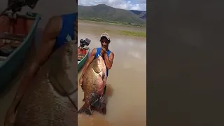 Pescador pesca peixe de 45 kg na barragem de pedra em Jequié