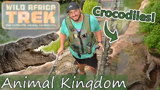 Too close for comfort || Wild Africa Trek || Disney Animal Kingdom