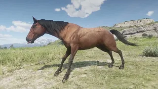 Red Dead Redemption 2 Cut Content: Horse Leak Animation