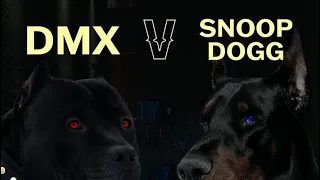 Dmx vs Snoop dogg Verzuz battle Recap !