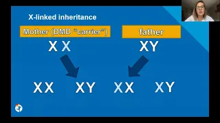 Genetics and Duchenne Muscular Dystrophy