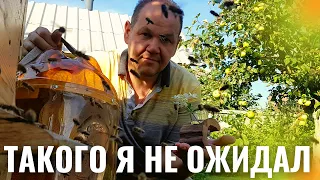 НЕОЖИДАННАЯ НАХОДКА И НЕ ДЕТСКИЕ ПОДЕЛКИ