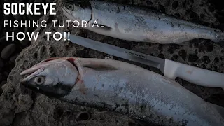 How To BANK FISH & RIG For Sockeye Salmon & Steelhead | Sockeye salmon Bank Fishing Tutorial |