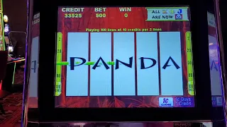 💰💰💲💲🔥🔥The most epic wild panda video ever!💰💰💲💲🔥🔥