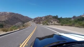 Shelby GT350 runnin the canyons of Baja California