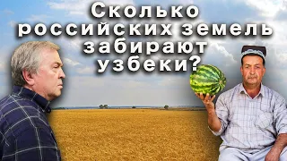 Сколько российских земель забирают узбеки?