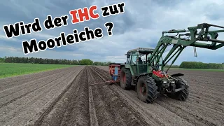 Farmvlog #361 | Kartoffeln pflanzen & ab ins Moor