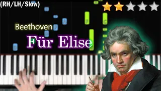 Fur Elise | Beethoven | EASY SLOW Piano Tutorial |