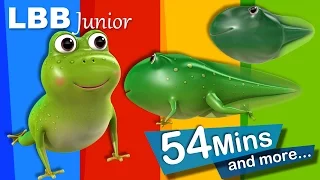 Life Cycle of A Frog Song | And Lots More Original Songs | From LBB Junior!