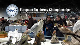 European Taxidermy Championships