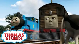 Thomas & Friends™ - Toby's Whistle | Full Episode | Cartoons for Kids