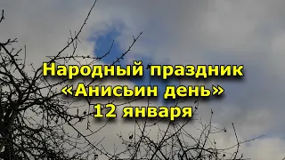 Народный праздник «Анисьин день». 12 января. Что нужно делать в этот день.