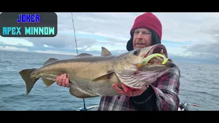 Fishing for bass and pollock with Ben and Freddie, UK boat angling with tips on slow pitch jigging