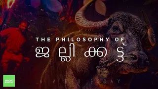 Jallikattu Movie Analysis | The Philosophy of ജല്ലിക്കട്ട് | Malayalam