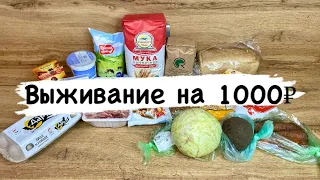 Выживание на 1000 рублей в 2024 году! / День 1 / Экономное меню / Эксперимент / Экономия/ Закупка 🍏