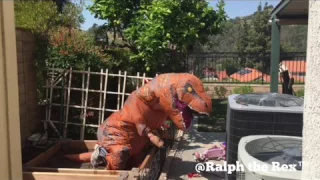 T-REX PROBLEMS: PLANTING PLANTS!