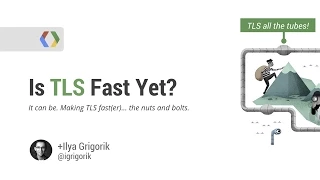 Is TLS Fast Yet?