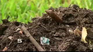 Brownsville Resident Worries Future Storms Could Cause Flood