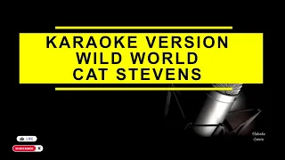 Wild World karaoke Version By Cat Stevens