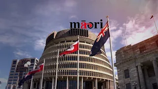 NZ 'puppets for the USA' - Rawiri Waititi | Te Ao Mārama