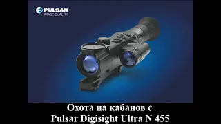 Охота на кабанов с Pulsar Digisight Ultra N 455