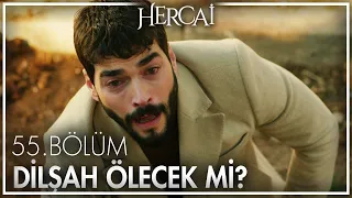 Dilşah vuruluyor! - Hercai 55. Bölüm