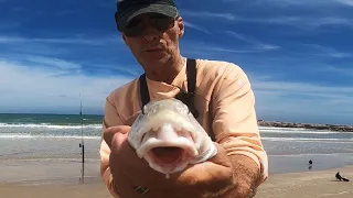 Easy way to catch fish from the beach surf fishing