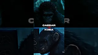 Koba vs Caesar