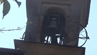 Le campane di Codogno (LO) - Fraz. Maiocca - Chiesa di San Bernardino da Siena (3)
