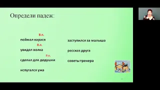 Русский язык 4 класс Правописание окончаний имен существительных в именительном, родительном, вините