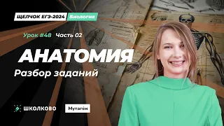 Разбор вопросов анатомия 2 часть