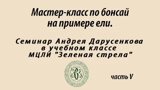 Мастер класс по созданию бонсай. Семинар Андрея Дарусенкова. Часть 5