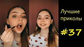 Лучшие приколы Июнь #37 The best funny videos June #37 TikTok