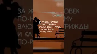 3 стадии любви !