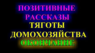 ОПТИМИСТИЧЕСКИЕ    РАССКАЗЫ❤️ТЯГОТЫ ДОМОХОЗЯЙСТВА❤️ОКОНЧАНИЕ @TEFI РАССКАЗЫ