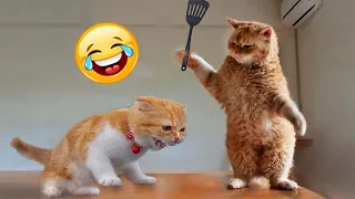 Funniest Cats and Dogs 😺🐶 Funny Animals 2023 😍 Part 22