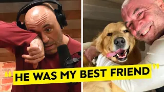 Joe Rogan's Most EMOTIONAL Podcast Moments REVEALED..