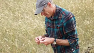 Grassland Birds with John Wilmshurst